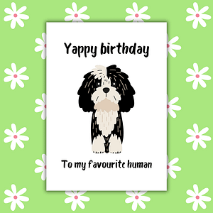 Yappy Birthday To My Favourite Human Card | Dog Birthday Card |