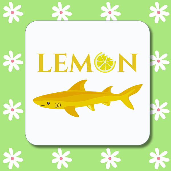 Lemon Shark Coaster