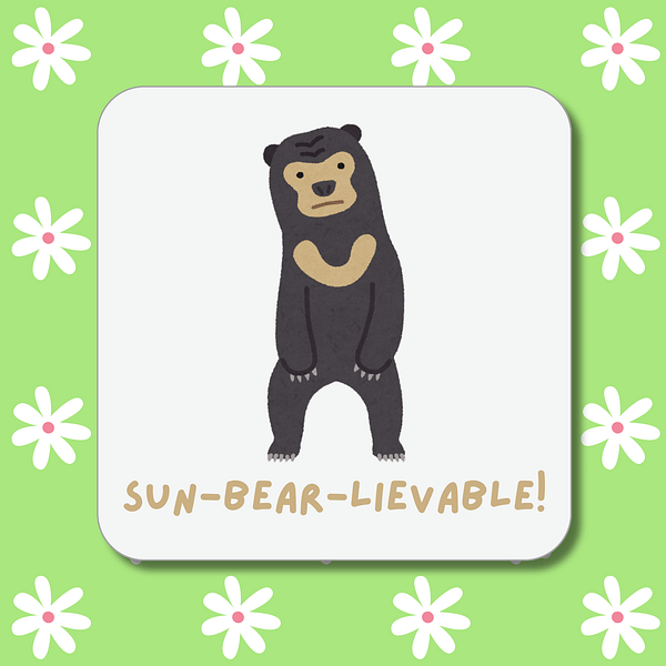 Sun-bear-liveable Coaster