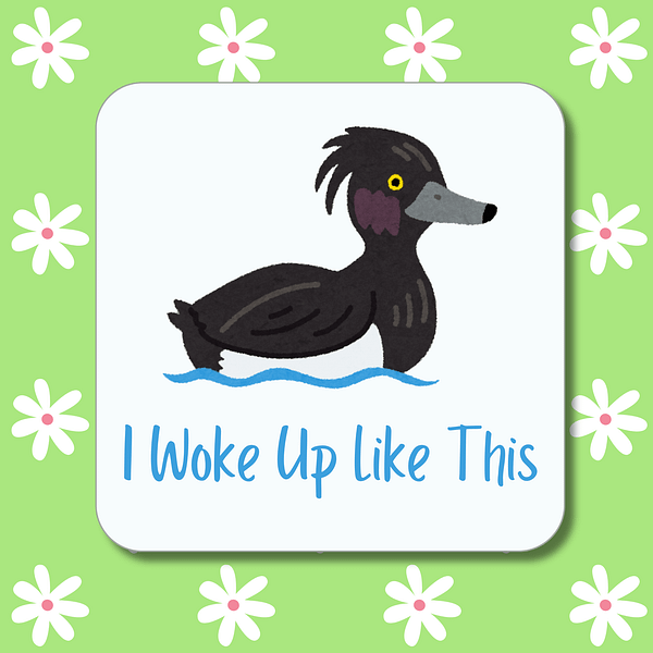 I Woke Up Like This Coaster